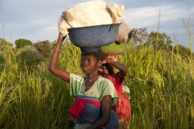 African Farmers Gmos