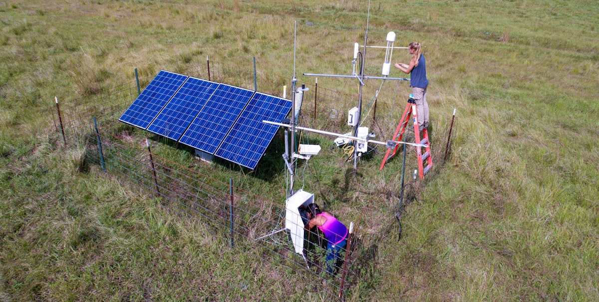 FLTF Archbold Biological Station