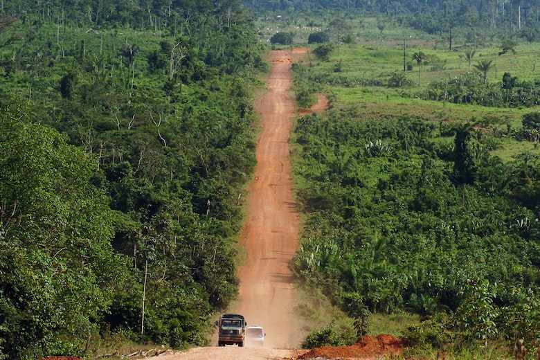 Road Through The Amazon