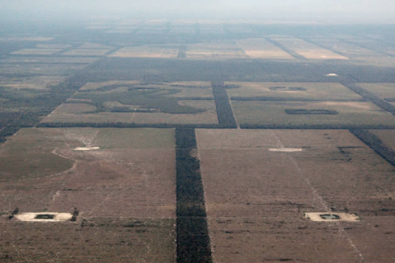 Deforestation In The Amazon