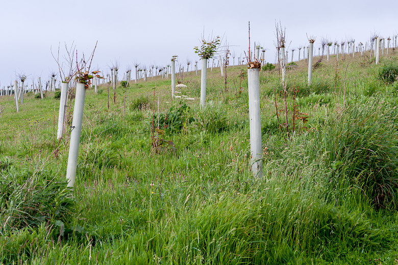 More trees less land Banner 2