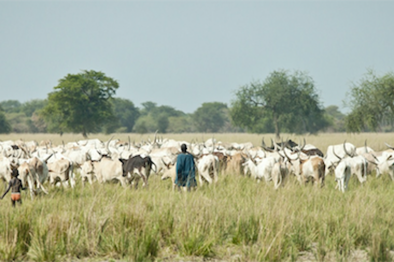 Pasture Video