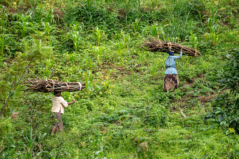 Rich Countries Climate Policies Are Colonialism in Green