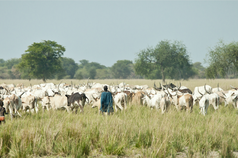 South Sudan