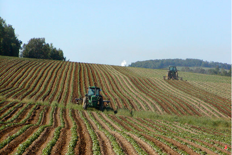 Tractor Potato Field